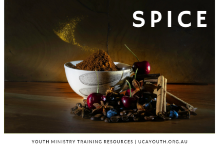 Picture of Youth ministry training resources in the page Introducing Spice