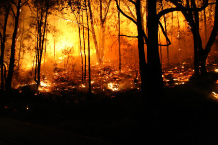 Picture of Istock 96822952 in the page Church rallies to help bushfire-devastated areas