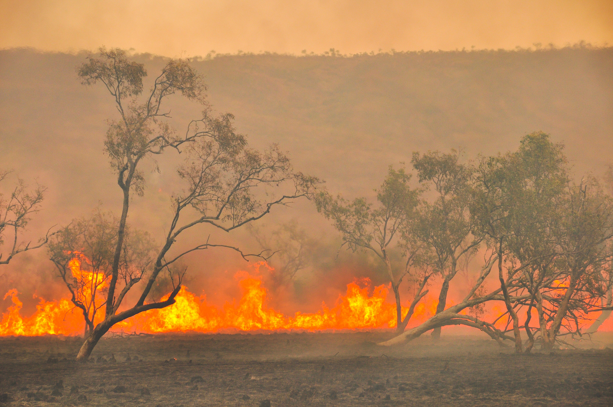 Bushfire outback