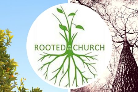 Picture of Rooted in the church in the page Are your young people 'rooted?'
