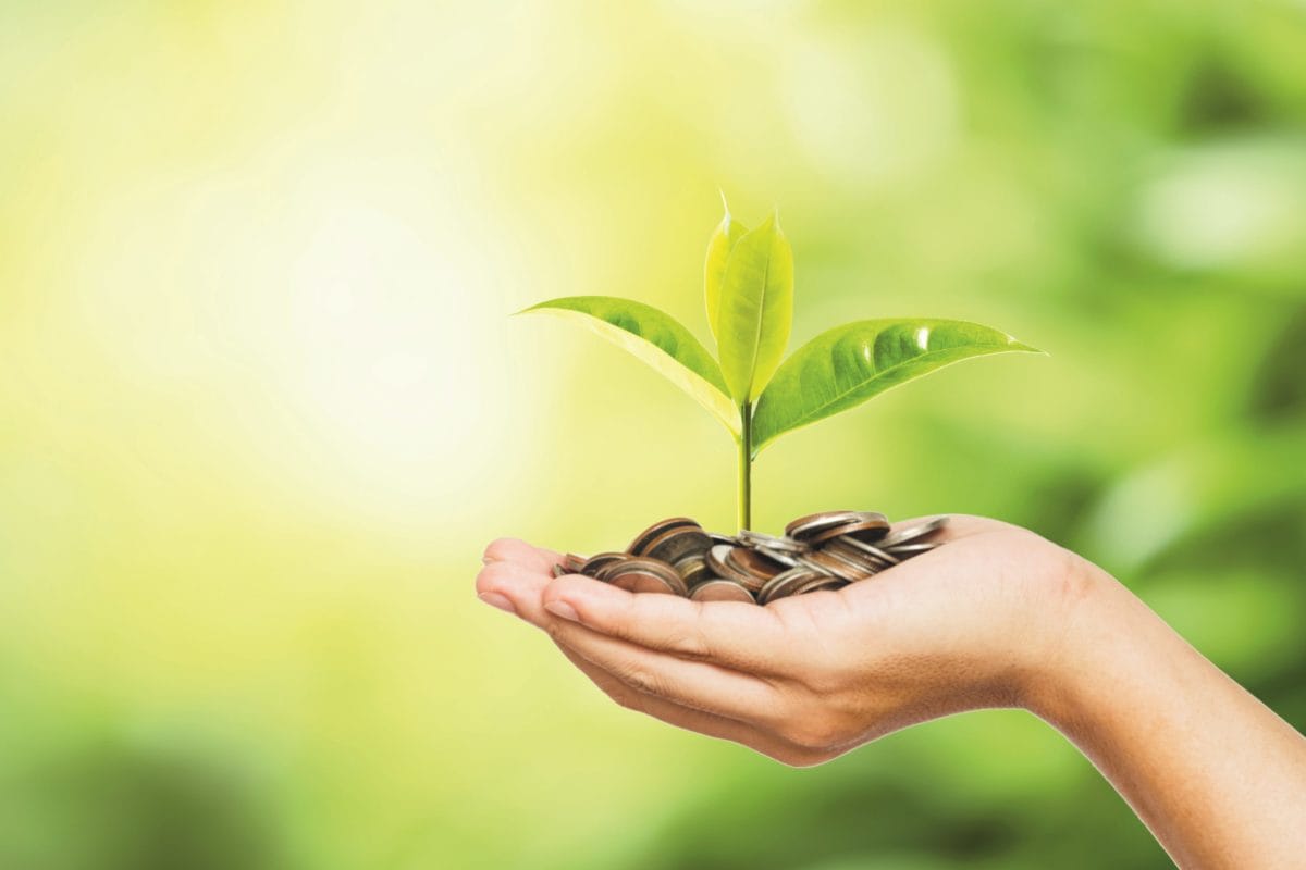 Picture of Mm one scaled e1608246288546 in the page Financial program offers a cents of purpose