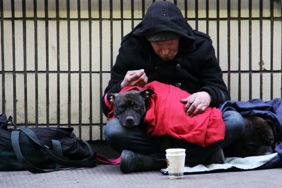 Homeless two