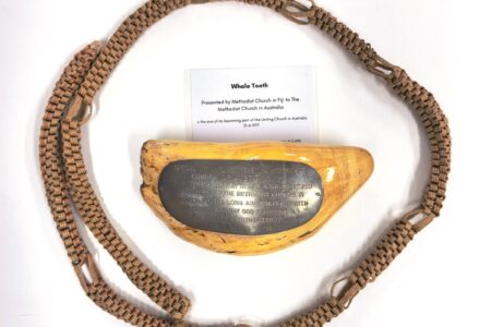 Artefacts whales tooth