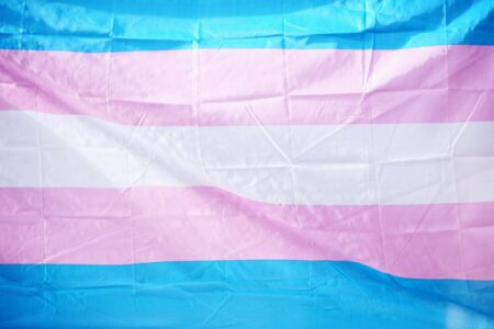 Picture of Trans flag in the page Supporting gender-diverse young people
