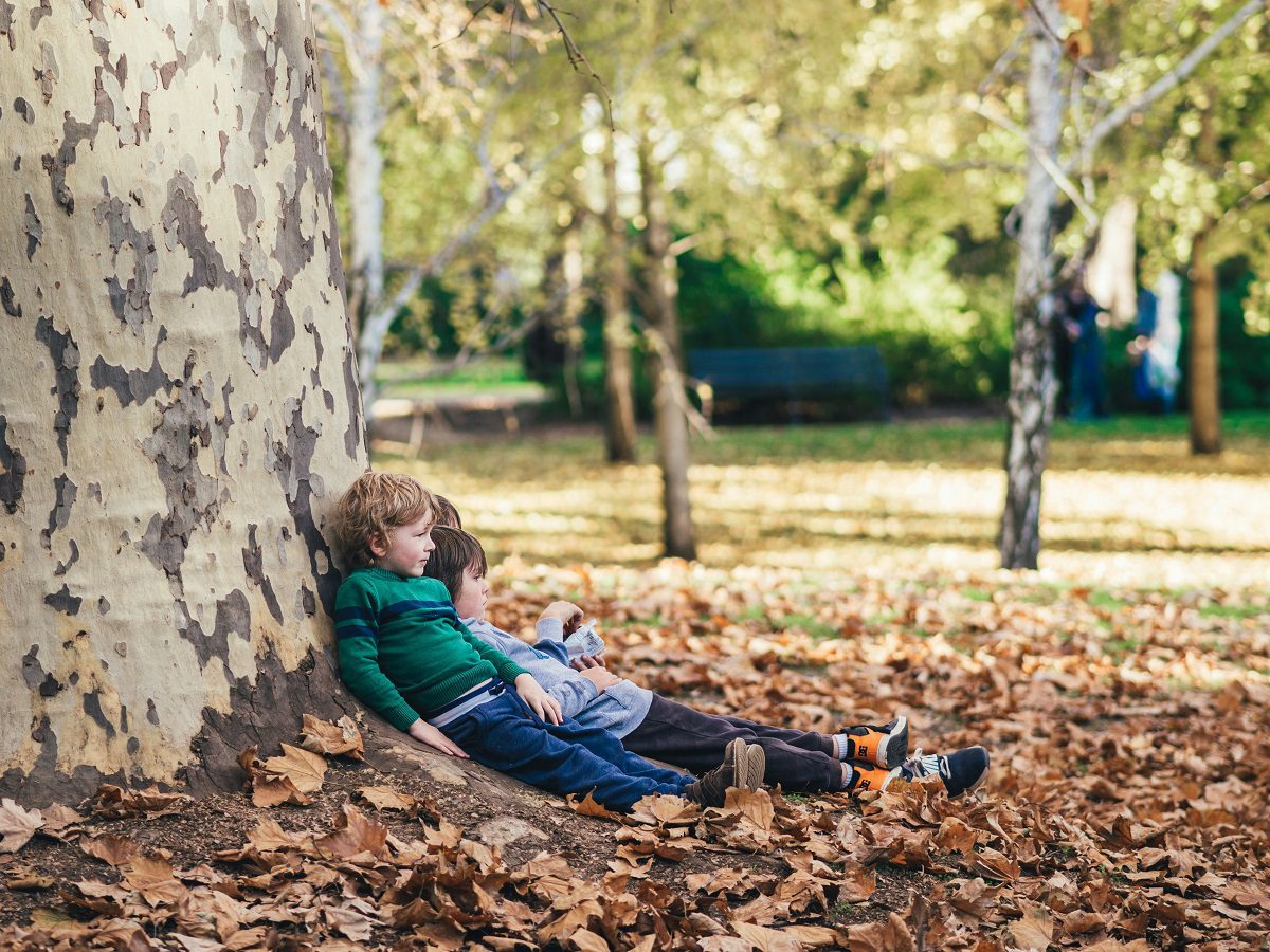 Picture of Children and nature in the page Climate and generations