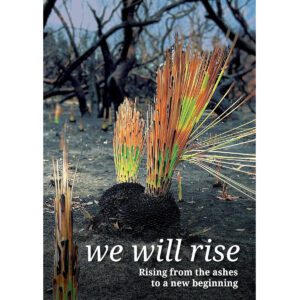 Picture of We will rise x px in the page We Will Rise