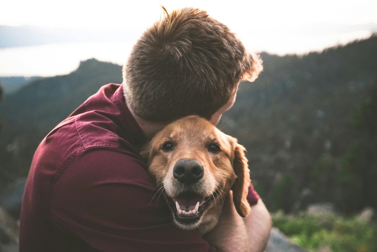 Picture of Pets two in the page Pet loss and grief explored