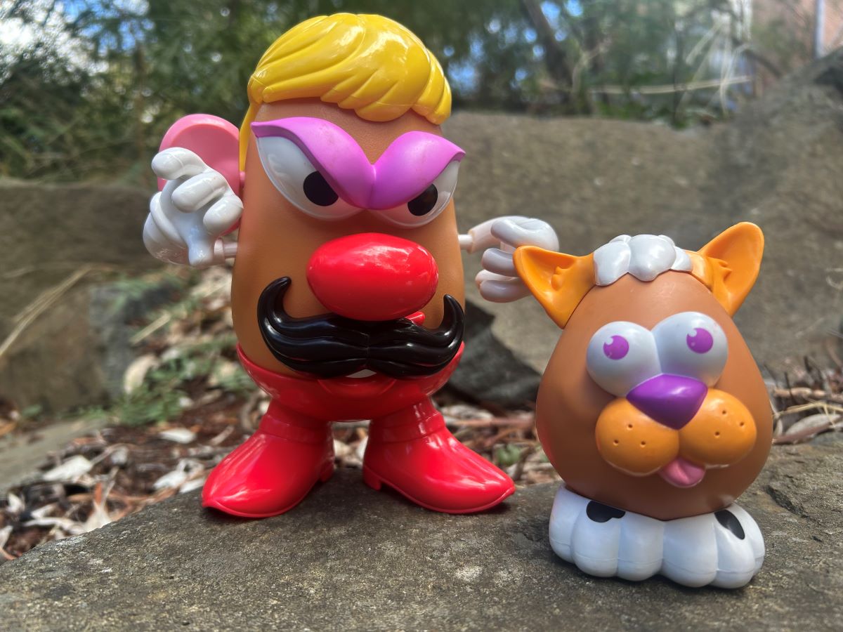 Picture of Mr potatohead in the page Activity opens up bible exploration