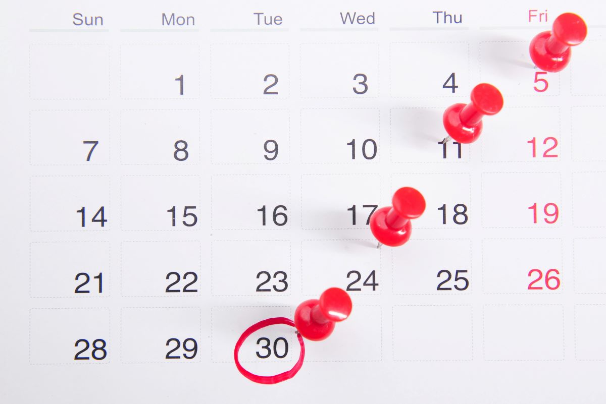 Picture of Calendar image in the page Make a date with multicultural events