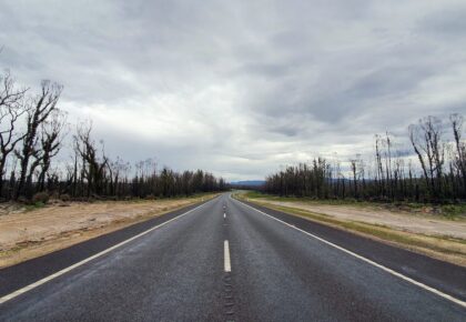 Picture of Road to malla 4 in the page Gippsland revisited – journey through the broken heart of Eastern Victoria